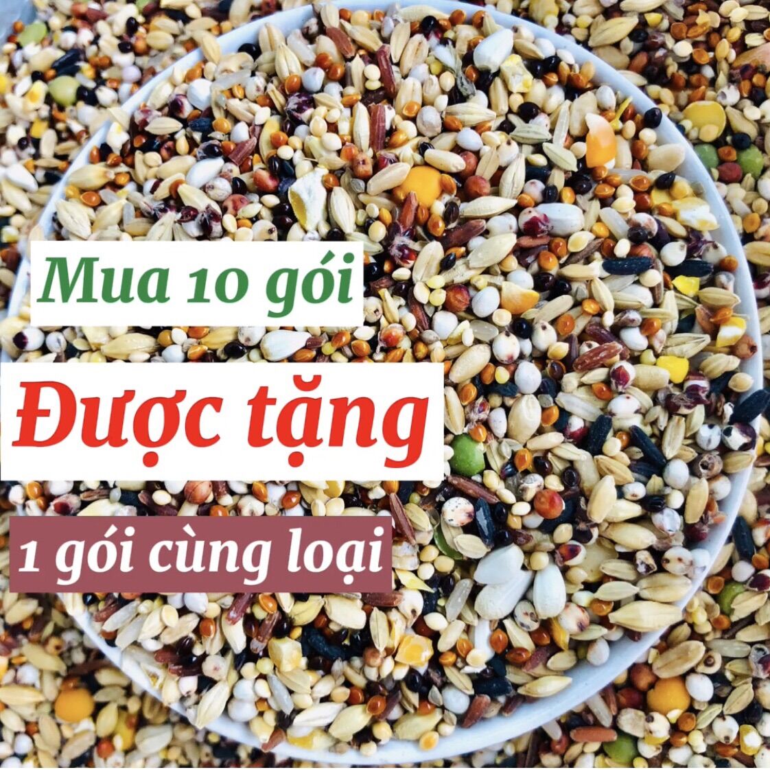 Ngũ cốc chim cu gáy Javan 500gram
