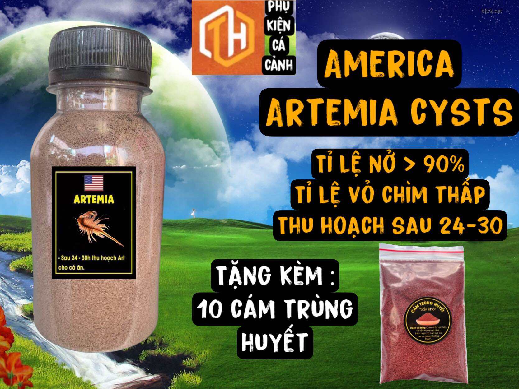 Trứng artemia ấp nở Mỹ loại 1 - tỉ lệ nở cao ít trứng chìm thức ăn giàu dinh dưỡng choncas cảnh