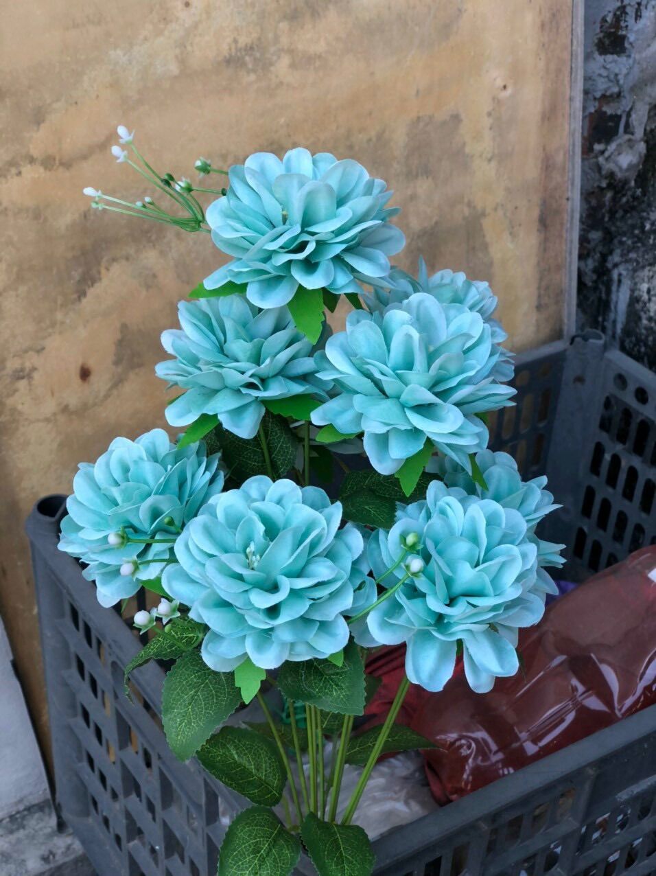 Cụm hoa cúc pháp_Hoa giả
