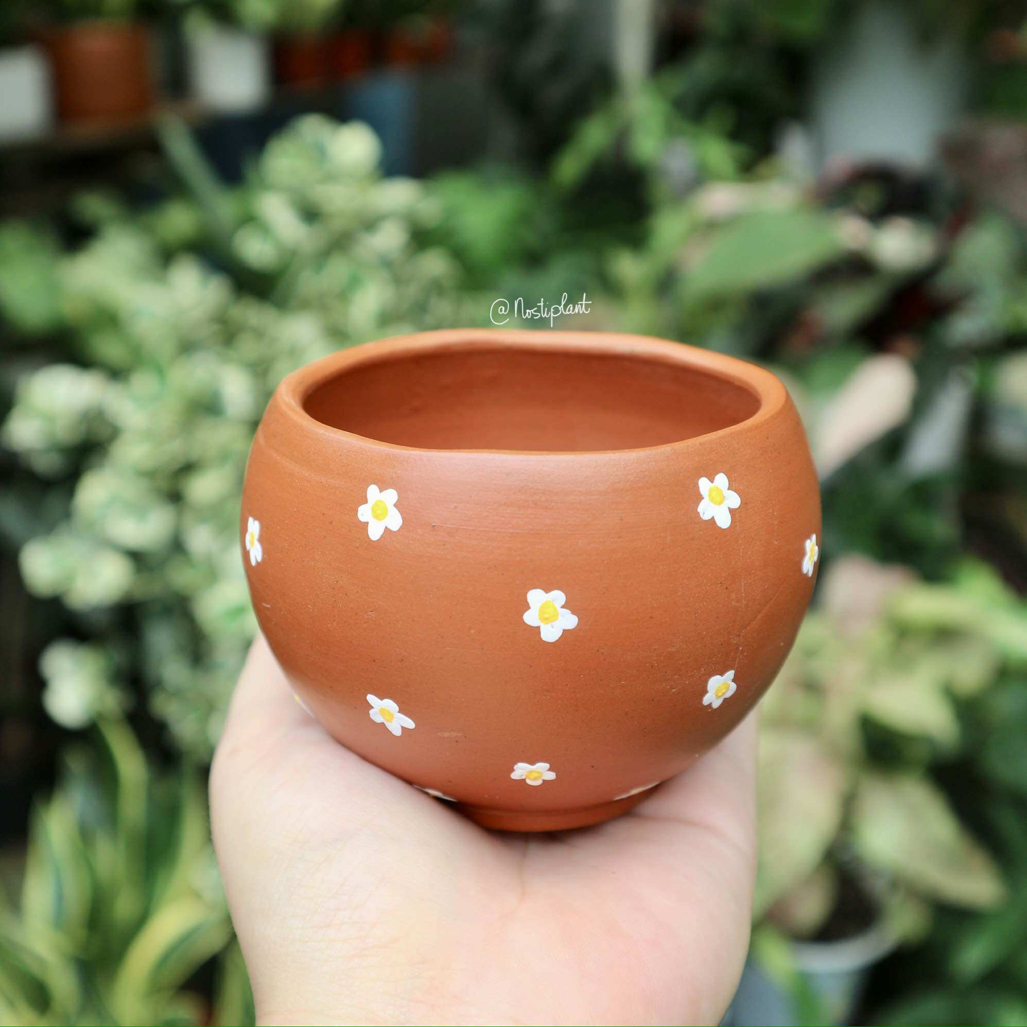 Chậu đất nung vẽ hoa thủ công