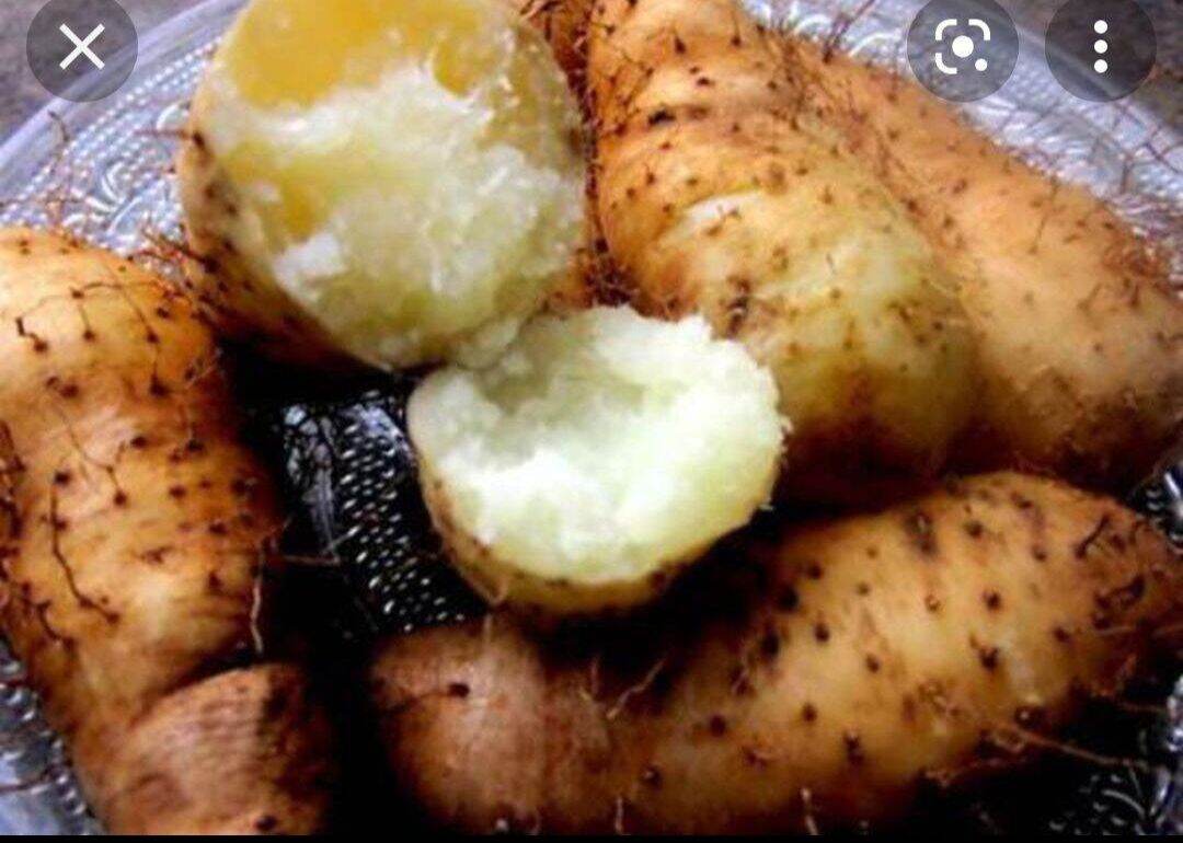 Khoai từ Trà Vinh-500g