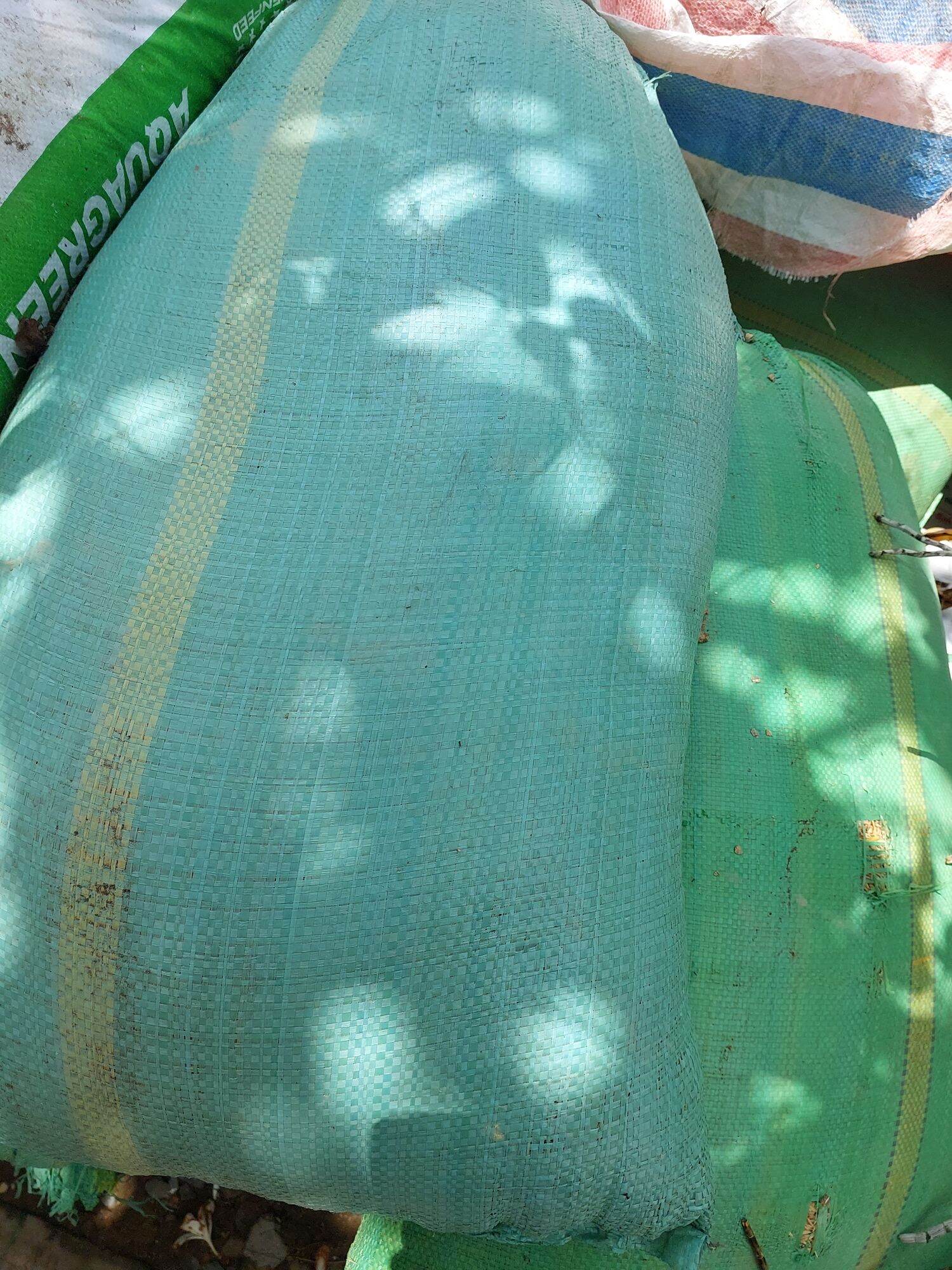 vỏ đậu phộng 3kg