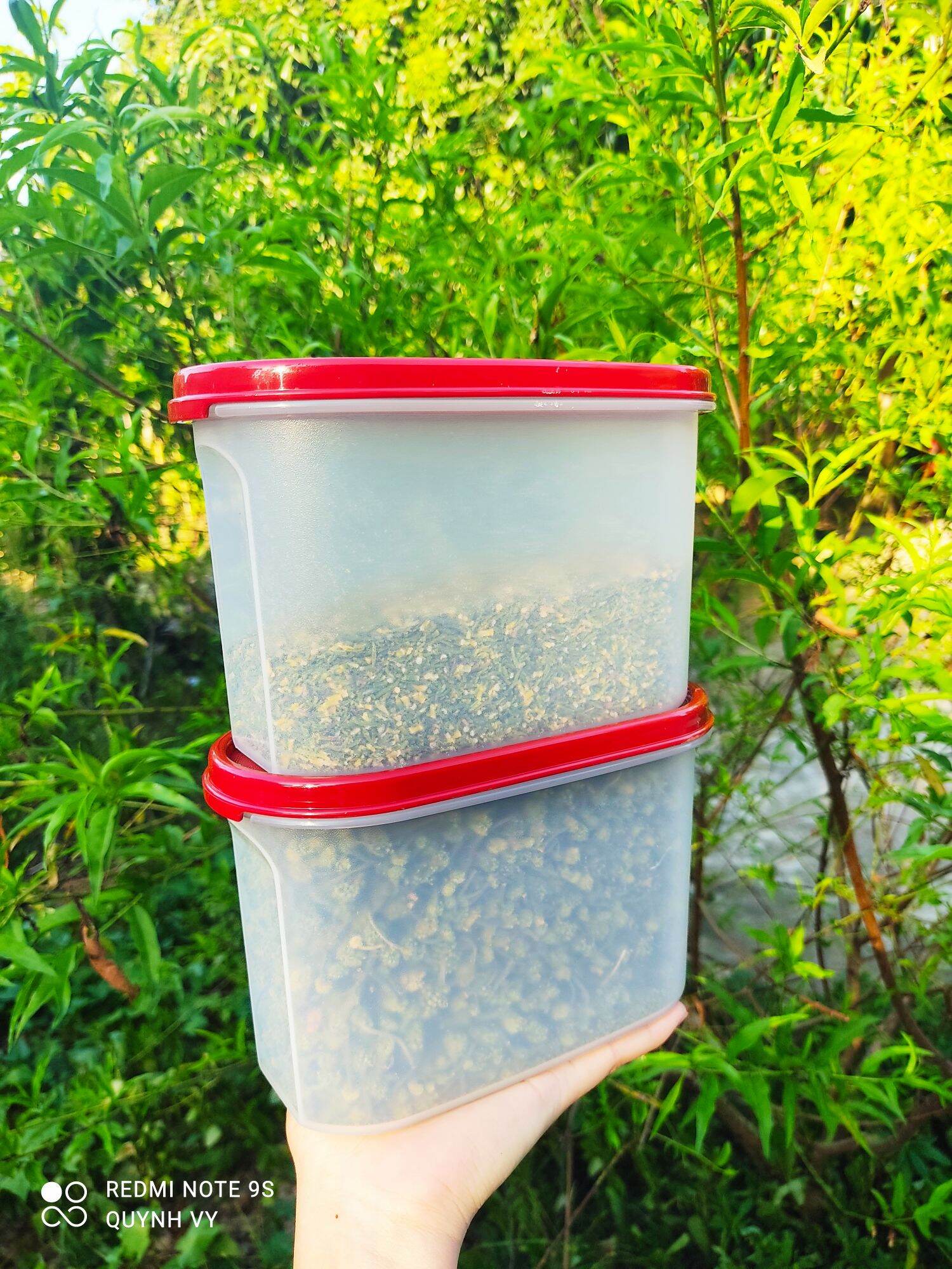 Set 4 hộp nhựa đựng đồ khô ❤️ Tupperware ❤️ hộp lưu trữ đồ ăn