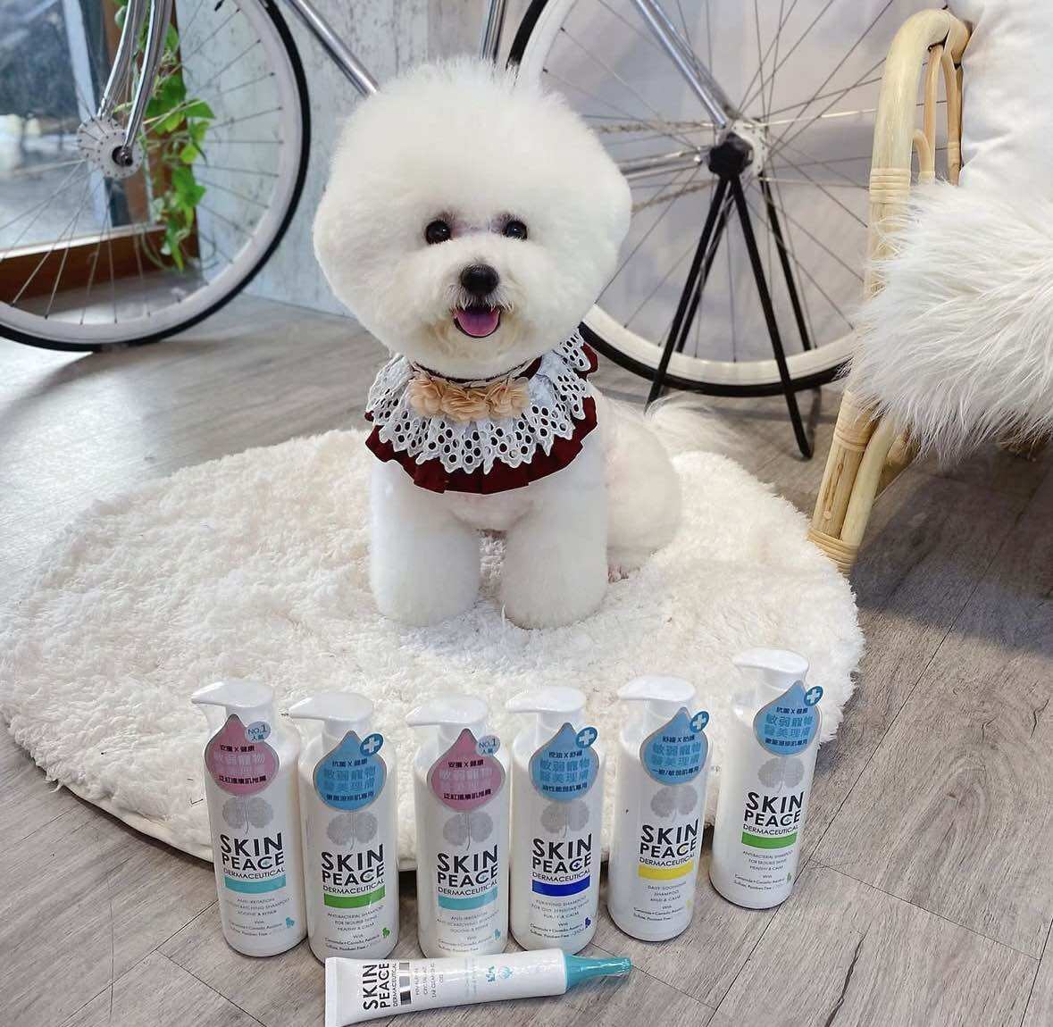Skin Peace Dermaceutical Ear Cleansing Gel for Pets 50g