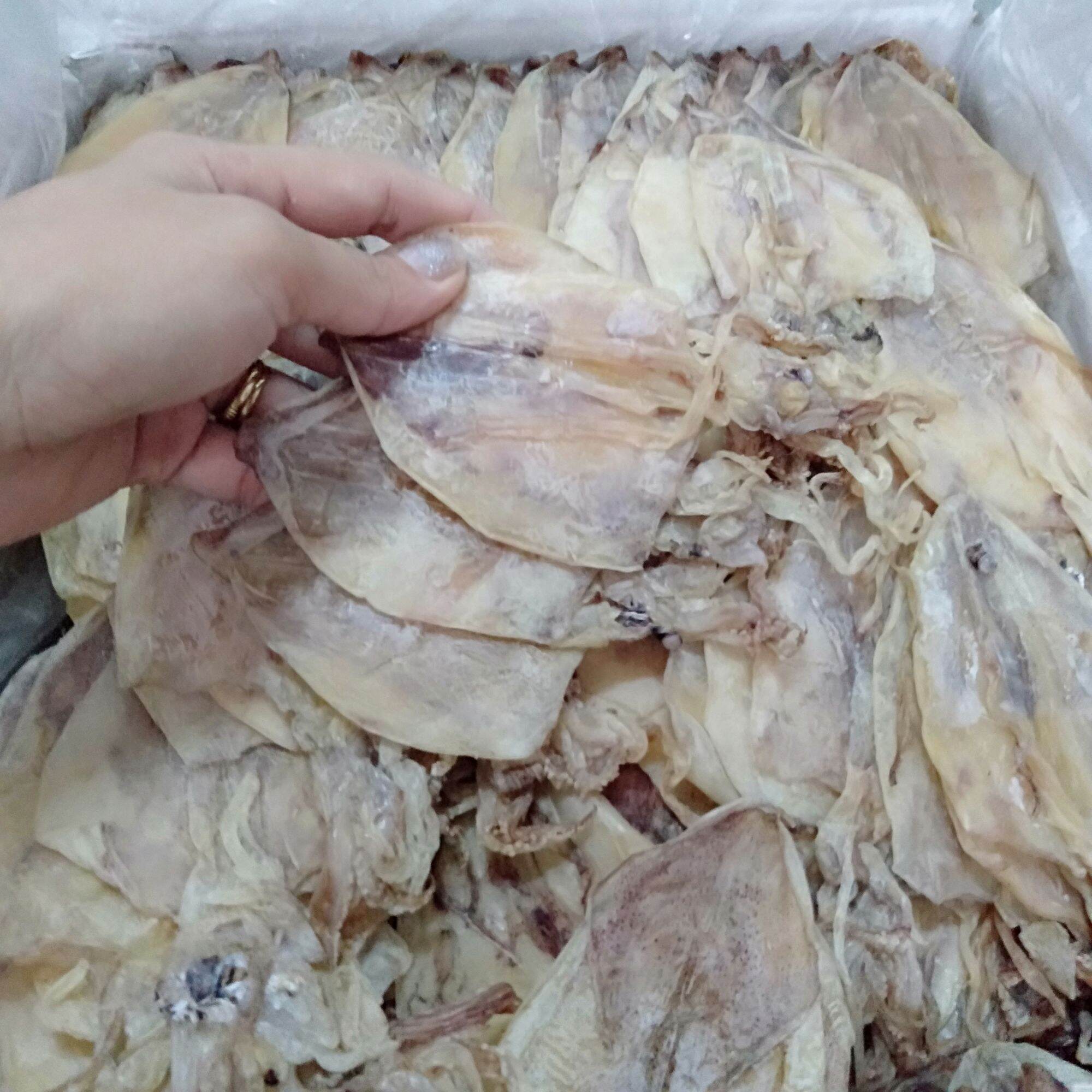 500gr mực size 100-120