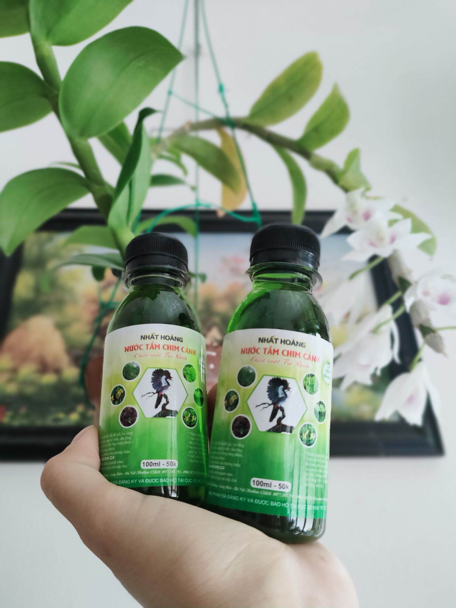 Nước tắm chim cảnh Nhất Hoàng