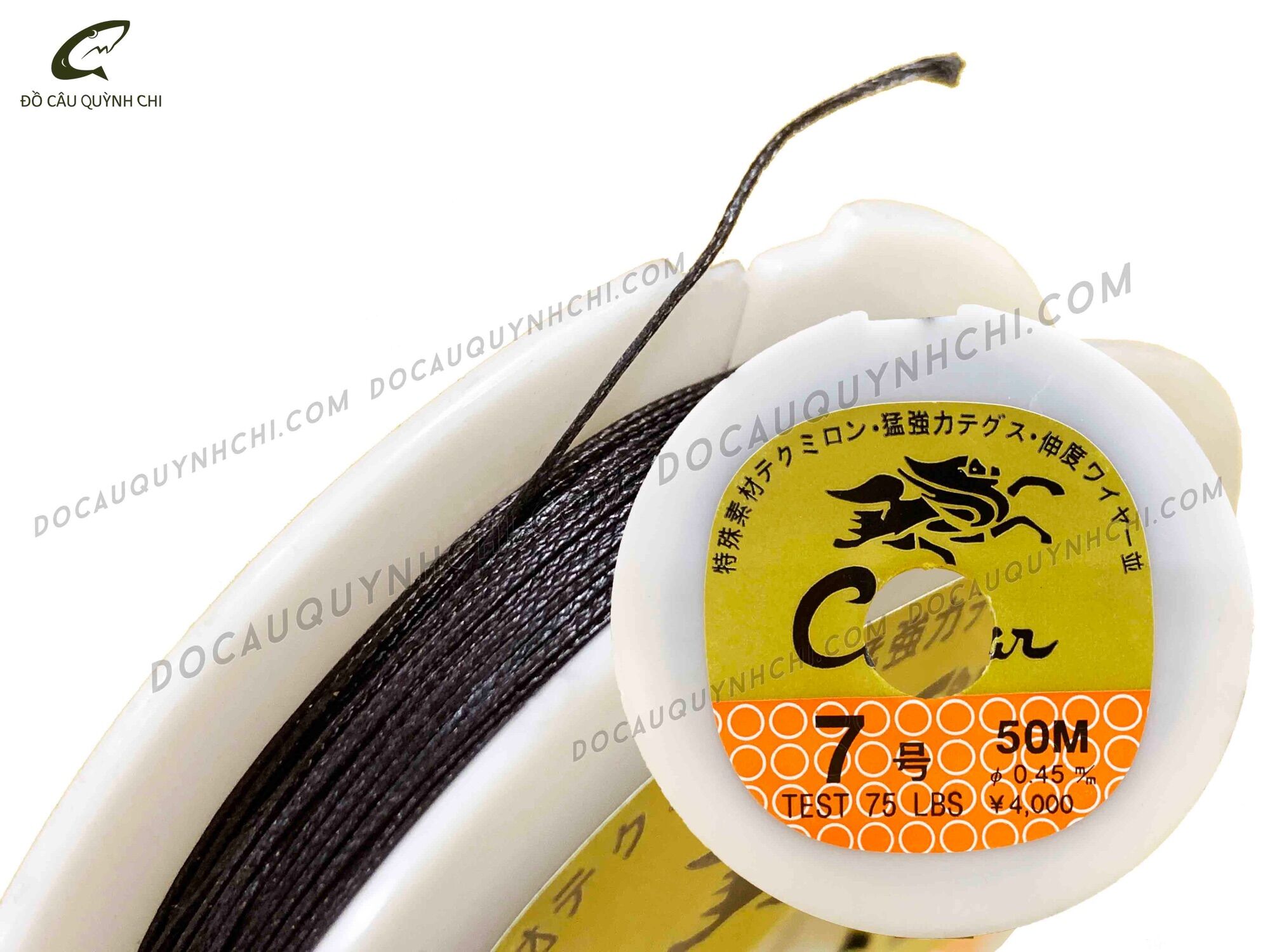 DÙ RỒNG - 50M [ĐỒ CÂU QUỲNH CHI - MINH HG]