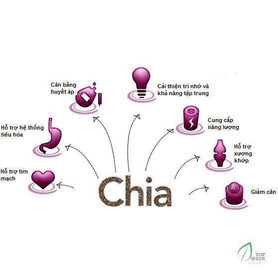 Hạt chia Úc BLACK BAG 500g
