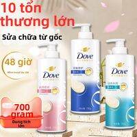 Dove | Dầu Gội Dưỡng Chất Amino Acid Tăng Cường Dinh Dưỡng và Sửa Chữa