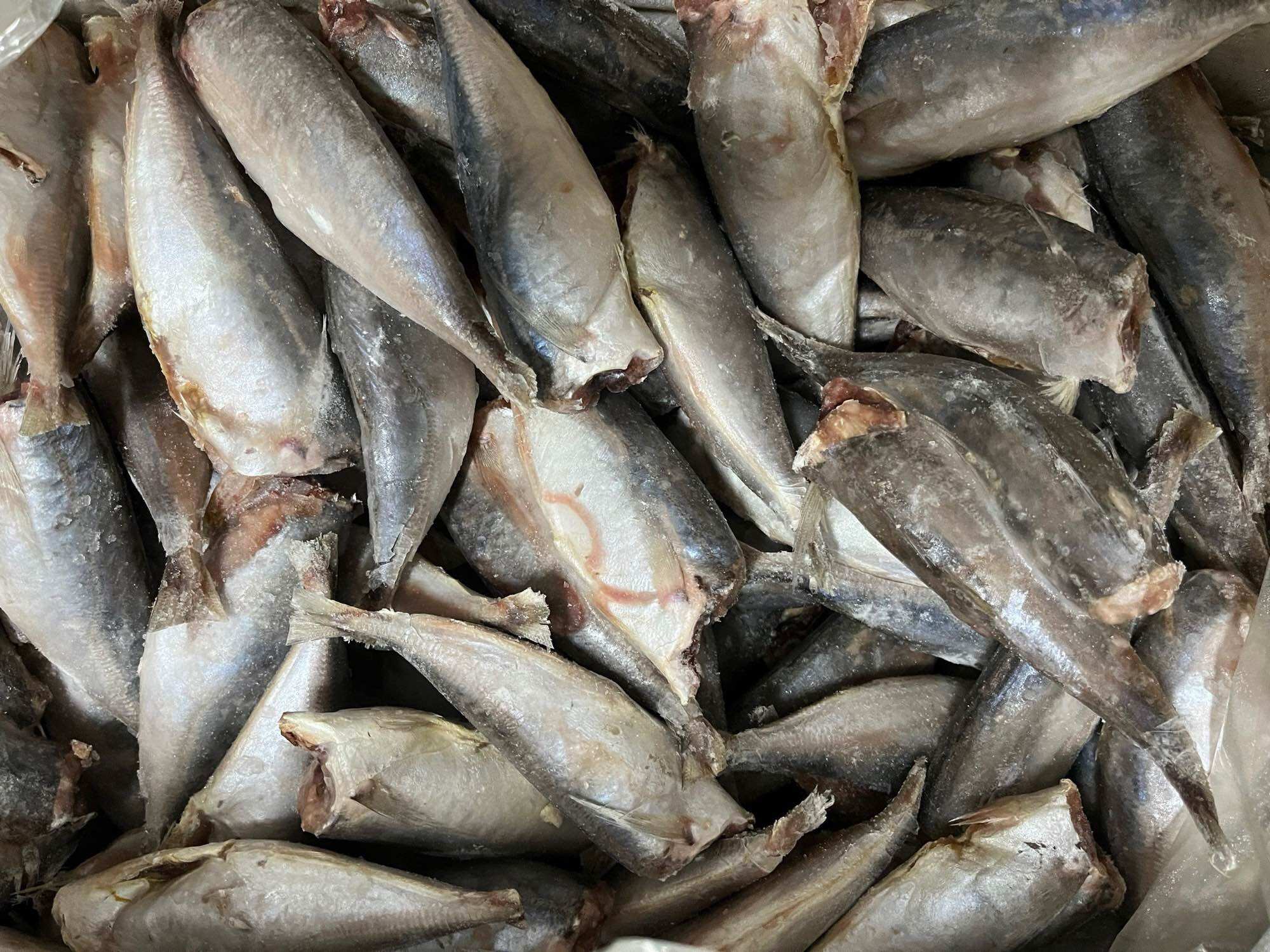 Cá nục mần sạch túi 1kg (giao tphcm)