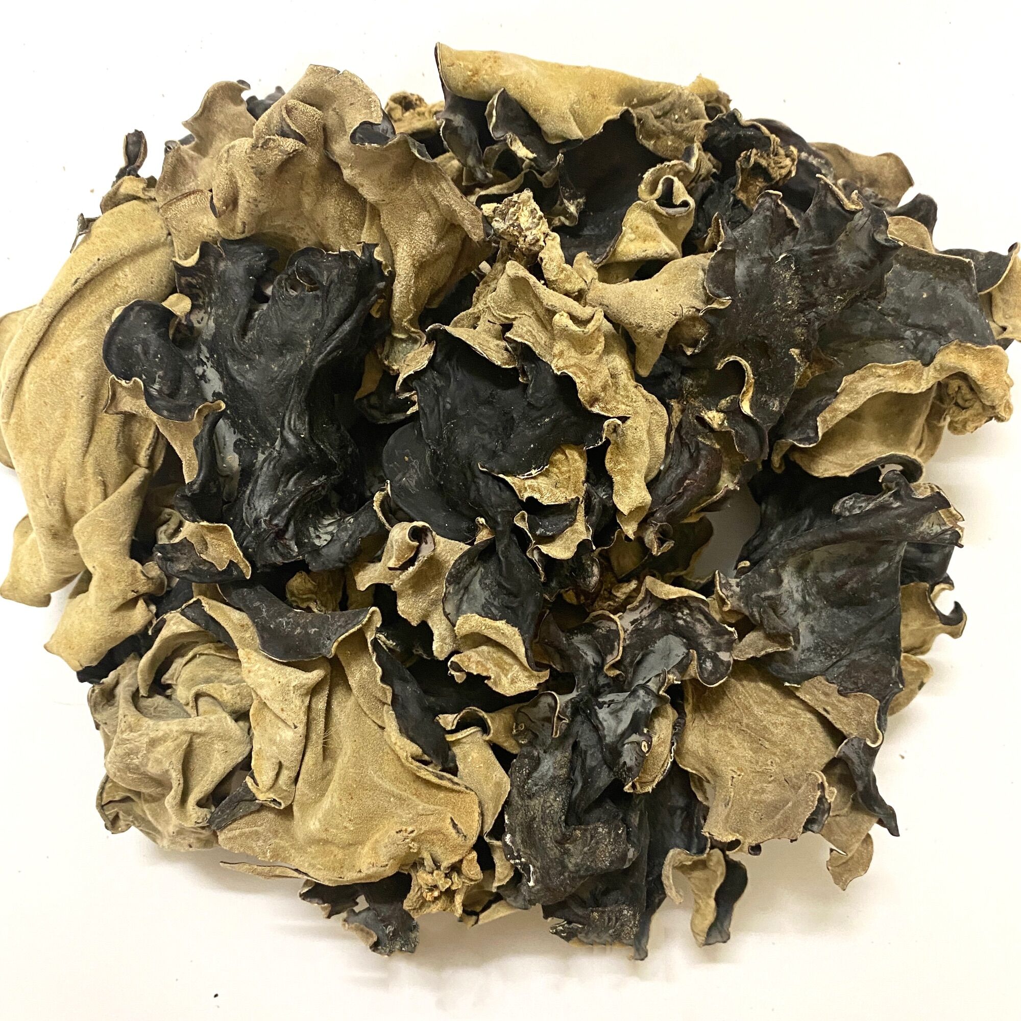 GÓI 100G NẤM MÈO, MỘC NHĨ