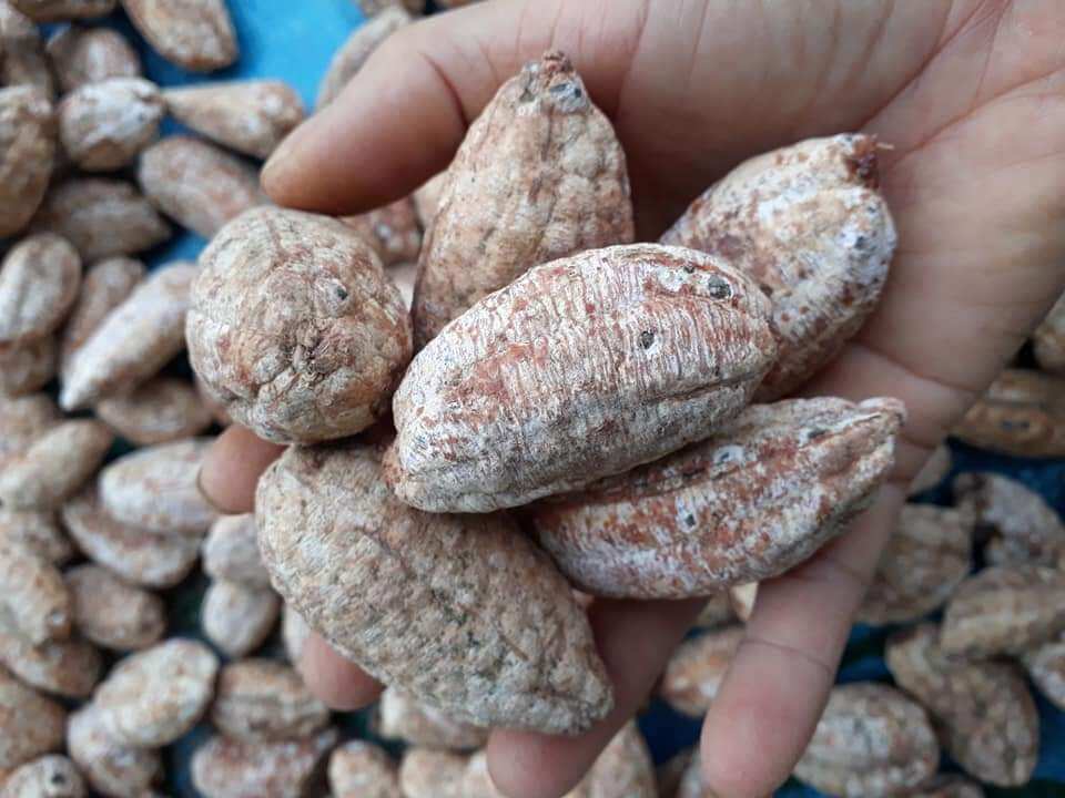 Chuối hột khô Tây Bắc gói 1kg