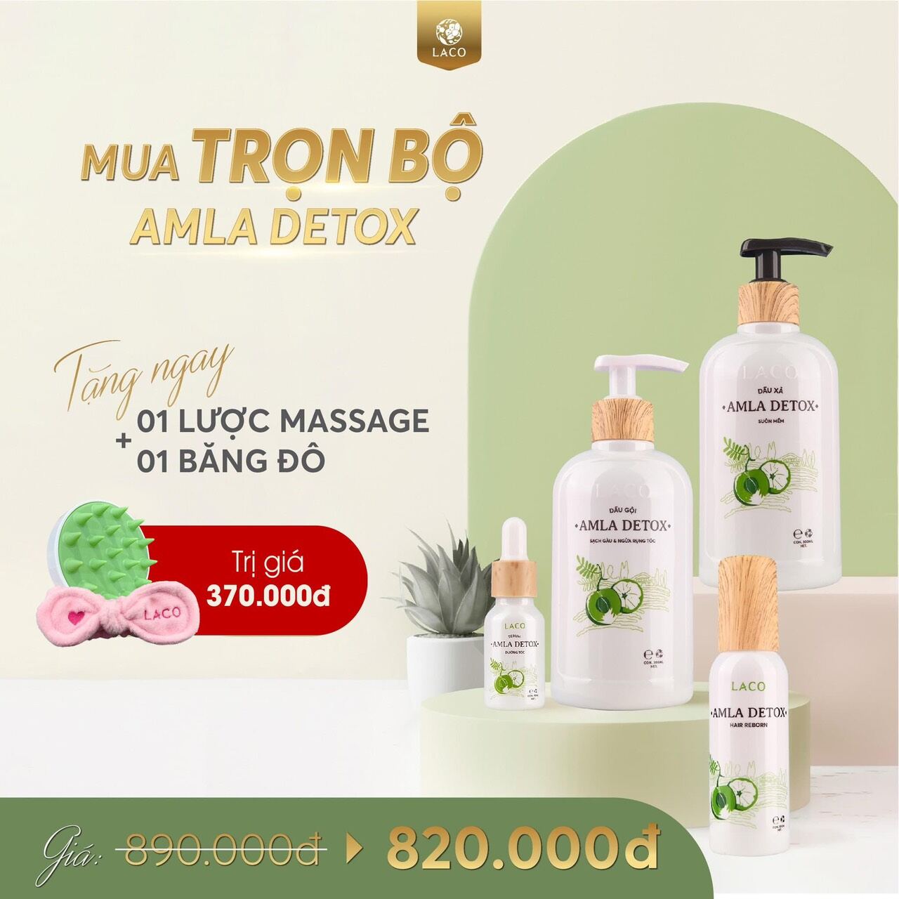 Dầu gội amla detox trị rụng tóc và trị gàu