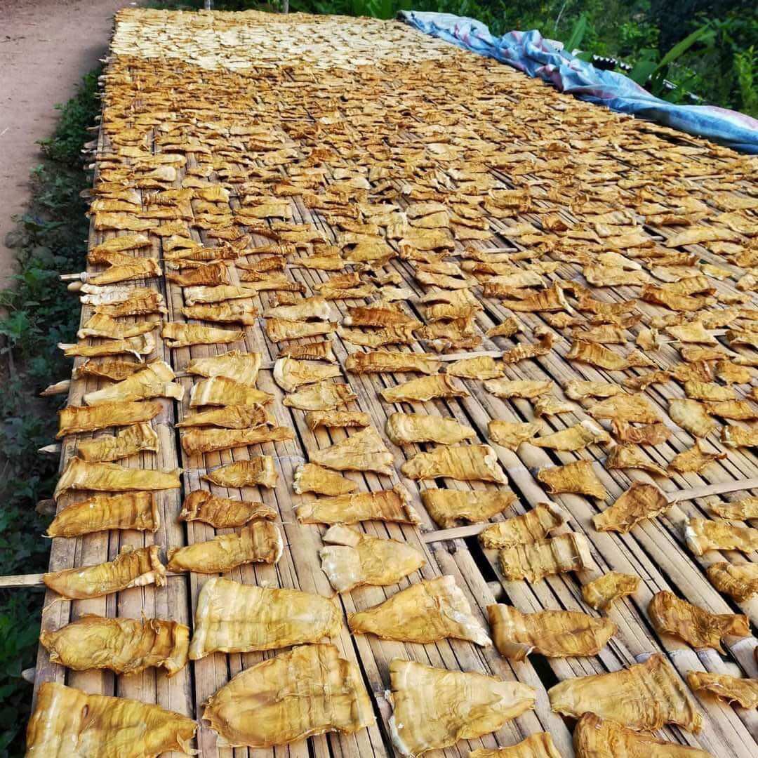 Măng Rối Khô Tây Bắc