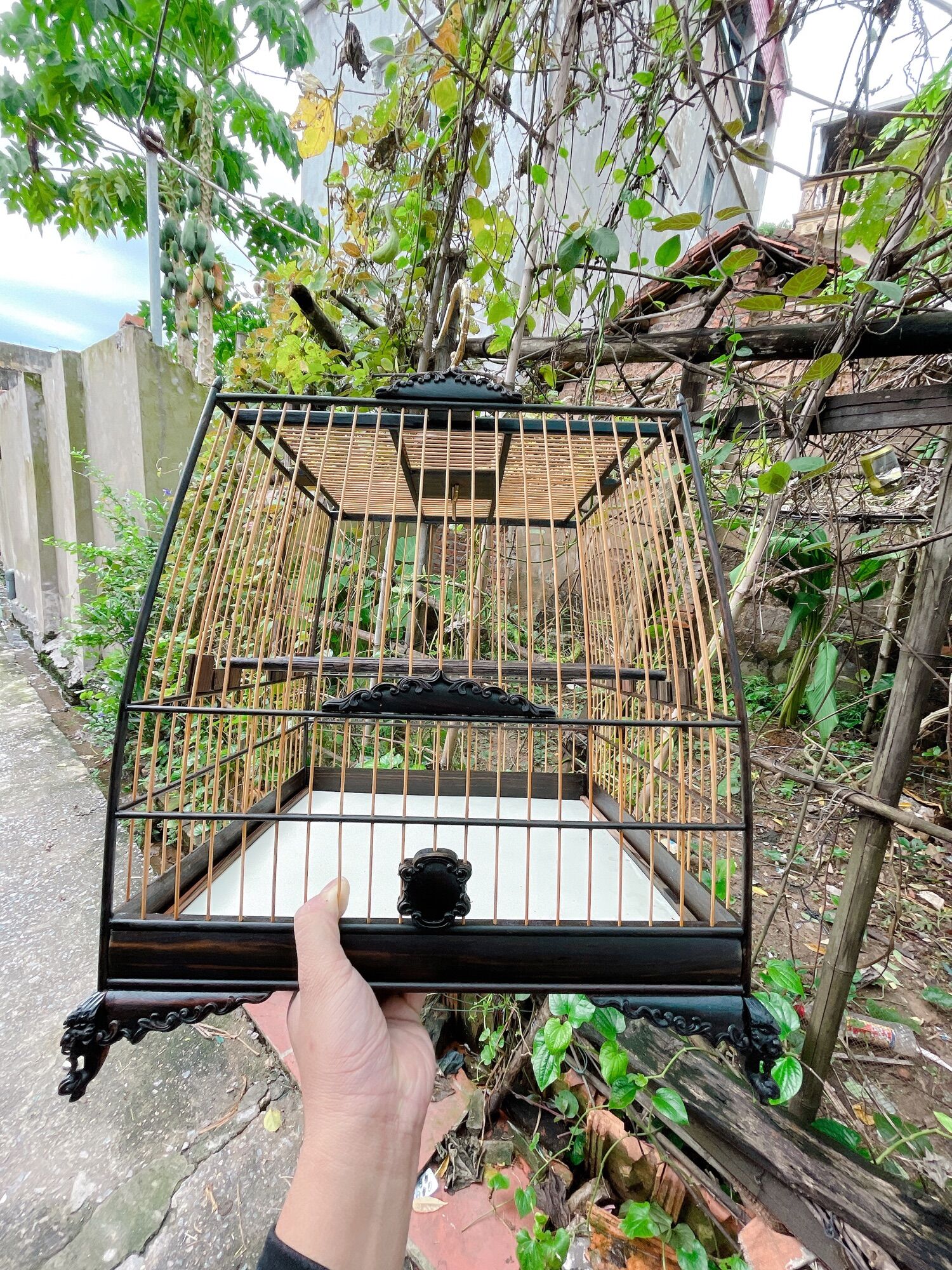 LỒNG THÁI ĐẤU MUN LÁ ĐỀ ĐỤC VIỀN SẮC NÉT