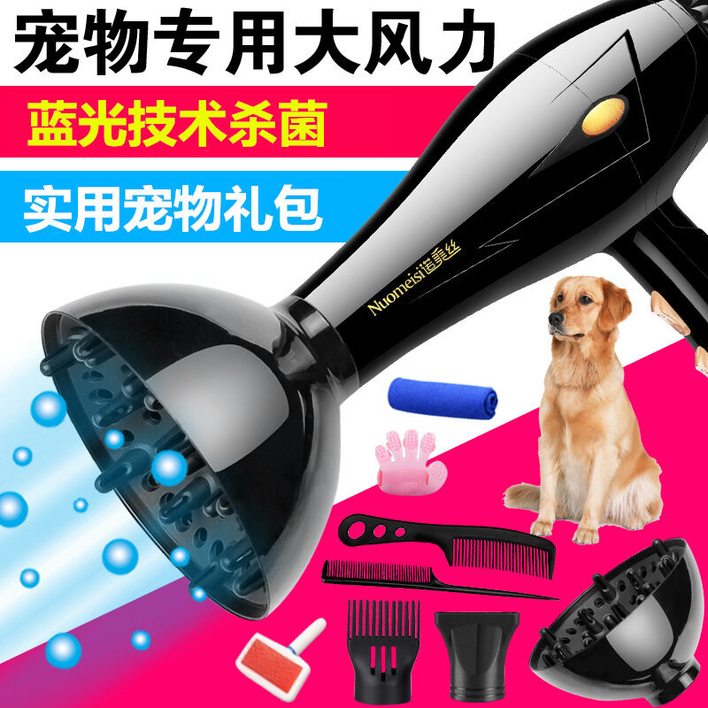 Máy Sấy Tóc Cho Thú Cưng, Máy Sấy Quần Áo Cho Mèo Tắm Cho Chó Teddy Công