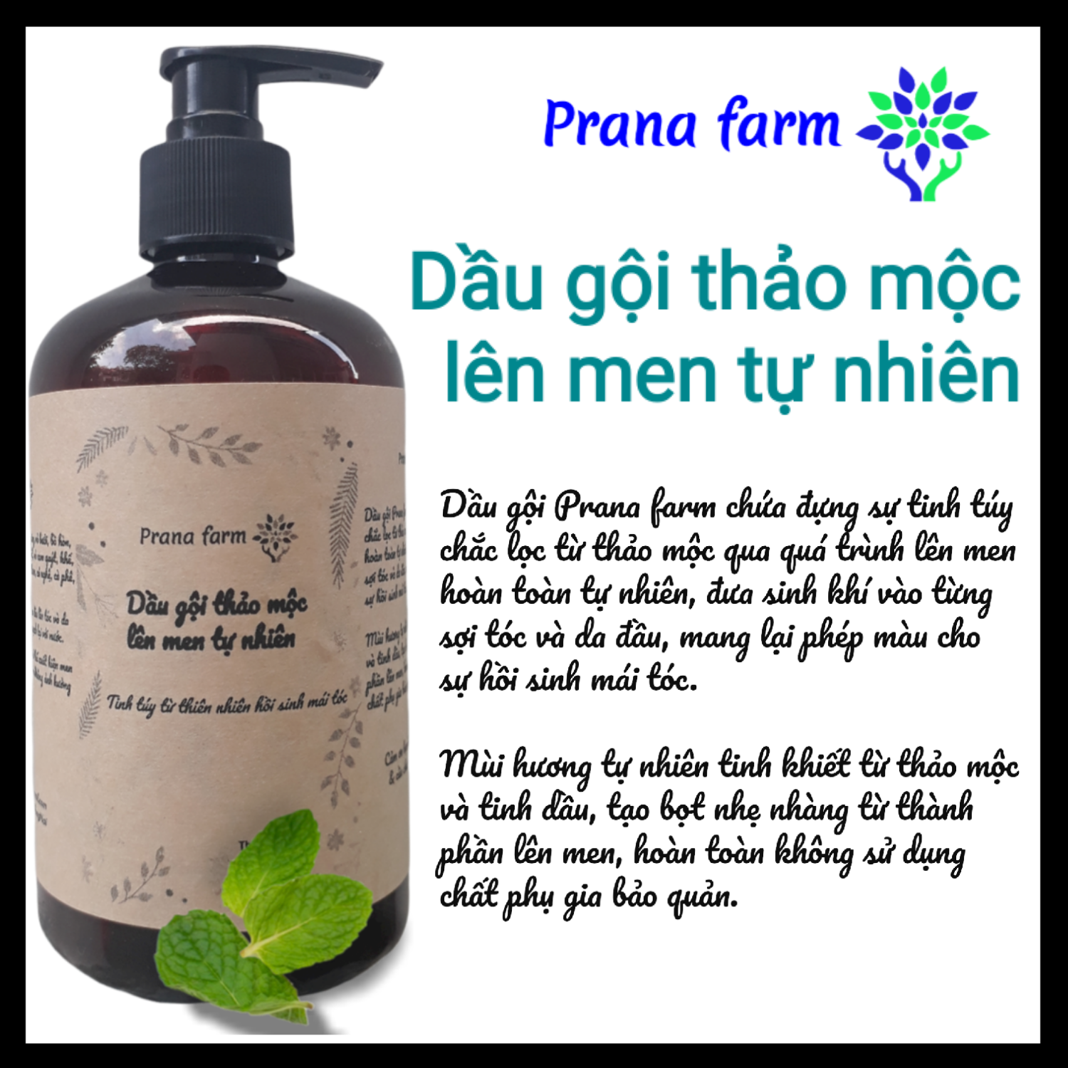 Dầu gội Thảo mộc lên men Tự nhiên Prana Farm Hồi sinh mái tóc 500ml