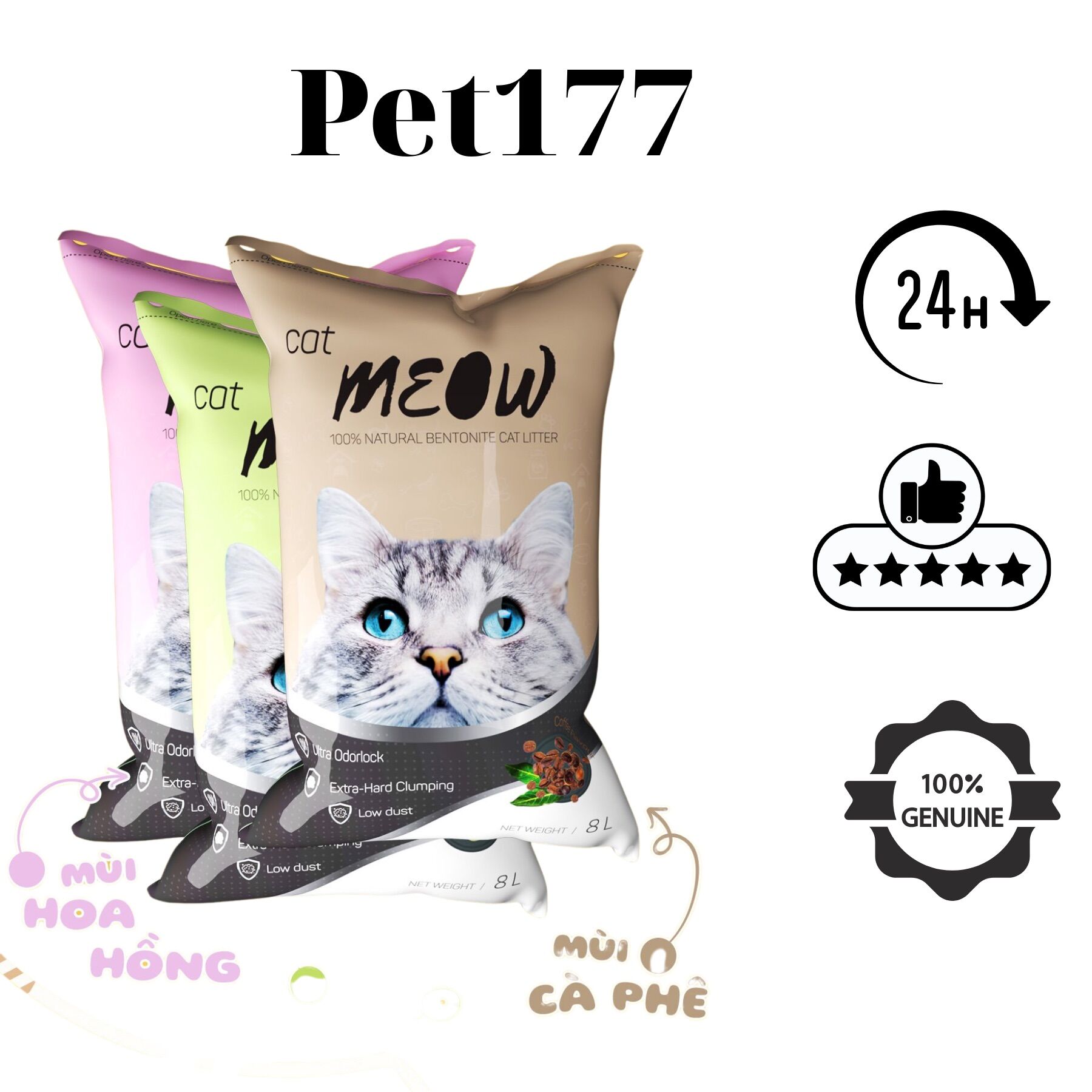 CÁT 8l cho mèo catmeow meow