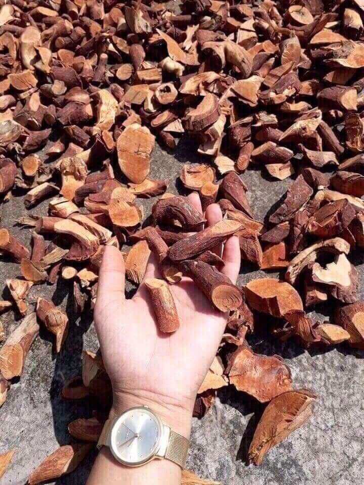 1kg rễ mú từn