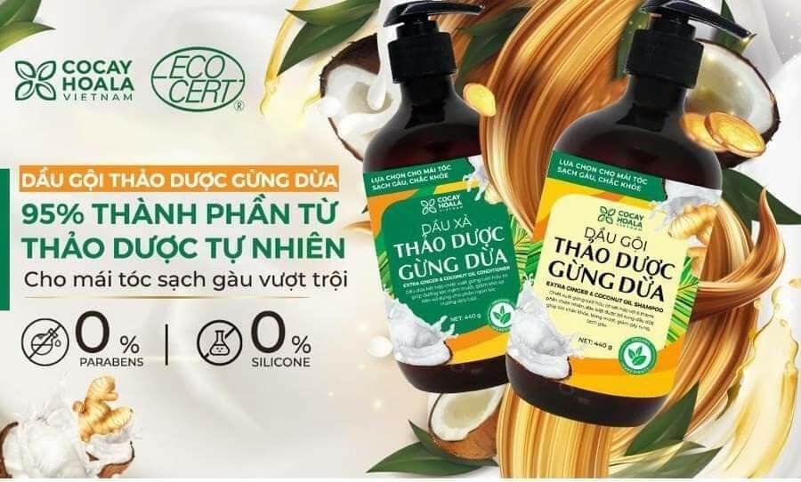 Combo dầu gội - xả thảo dược gừng dừa