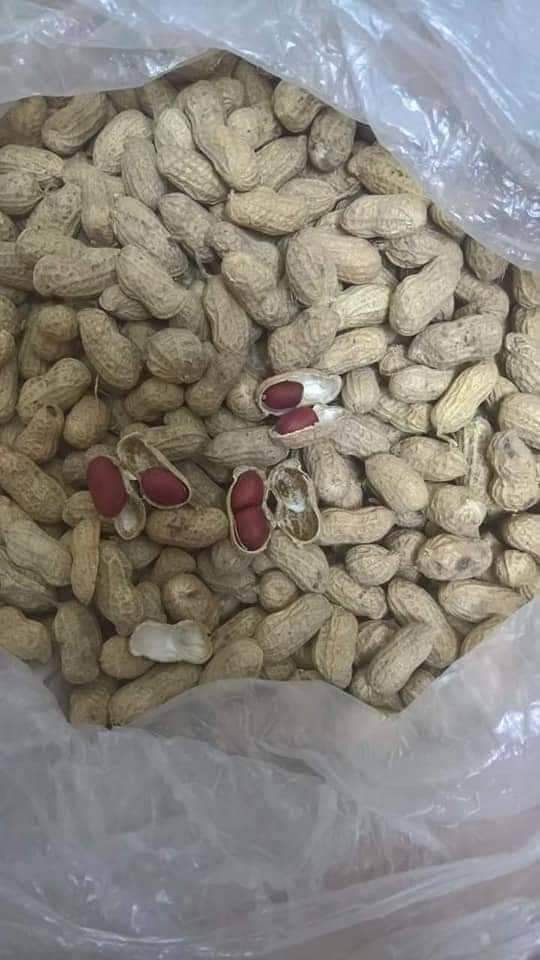 Lạc Đỏ Nguyên Vỏ 1KG