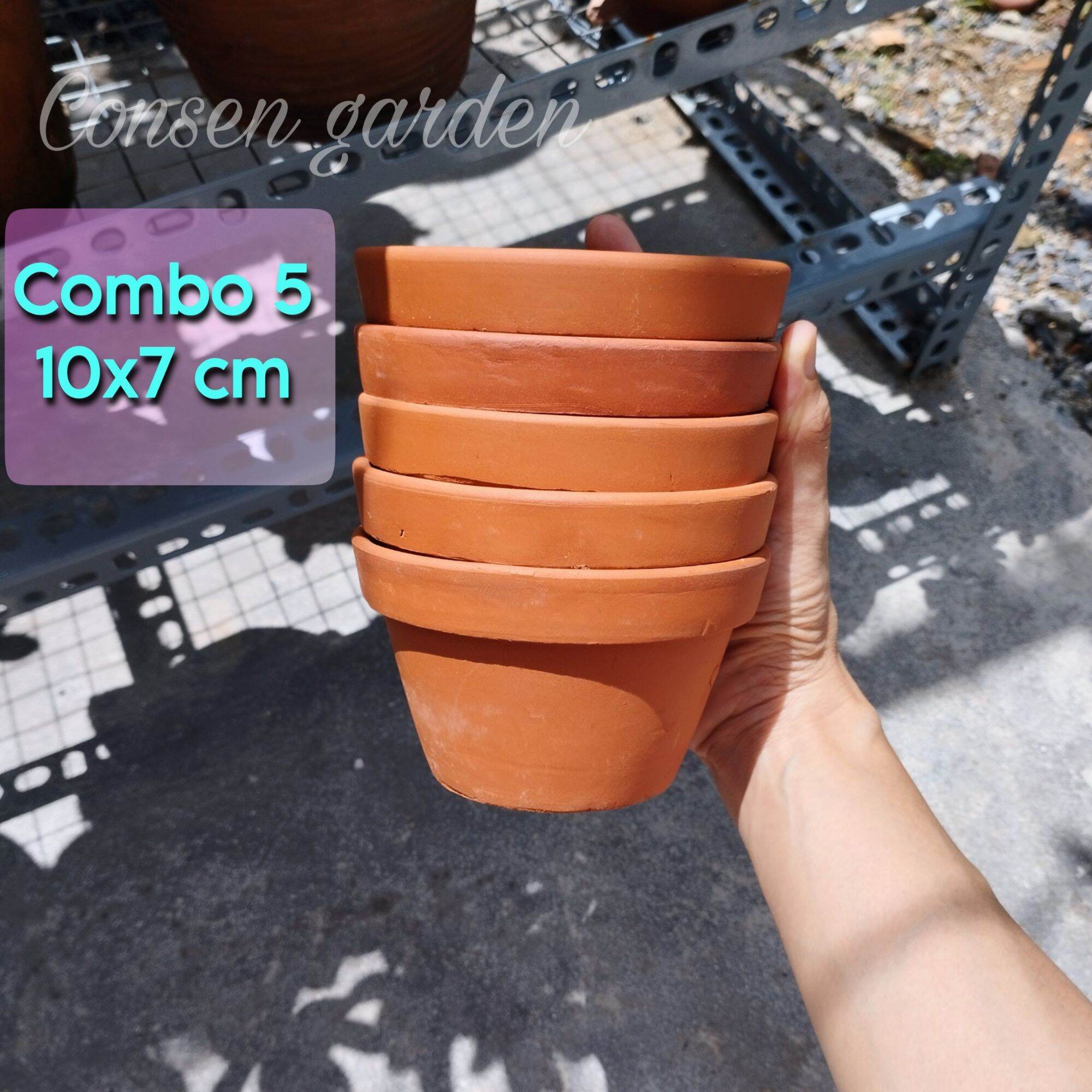 Combo 5 chậu đất nung trồng sen đá size 10 x7 cm