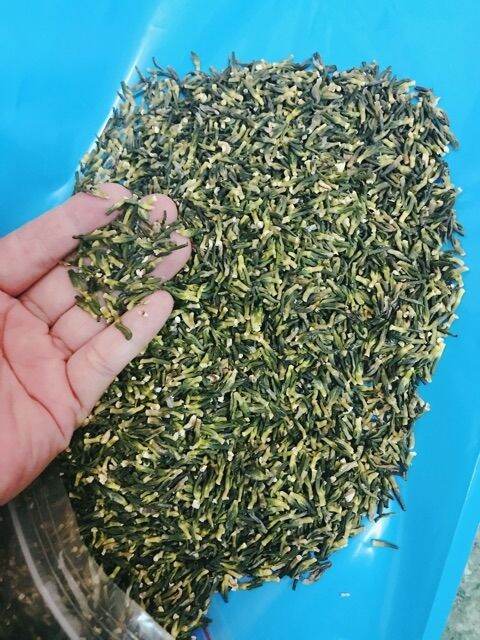 100g trà tâm sen tim sen
