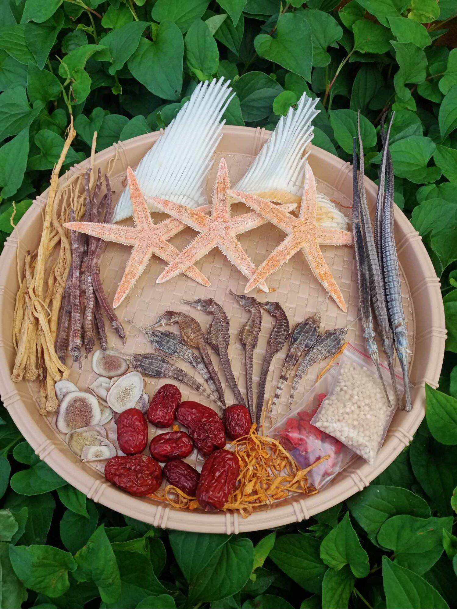 combo cá ngựa ngâm 3 lít