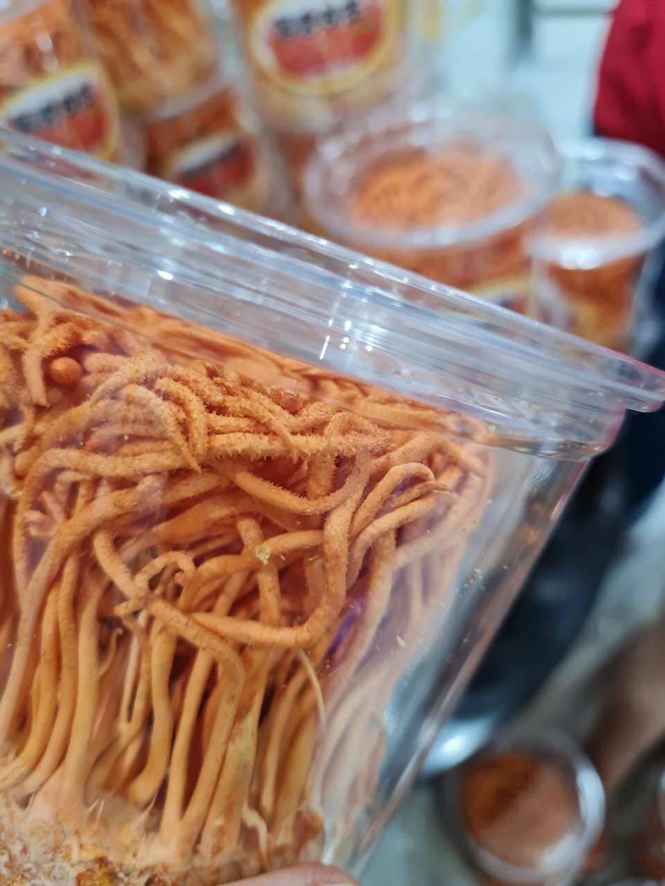 Nấm đông trùng hạ thảo khô Hàn Quốc