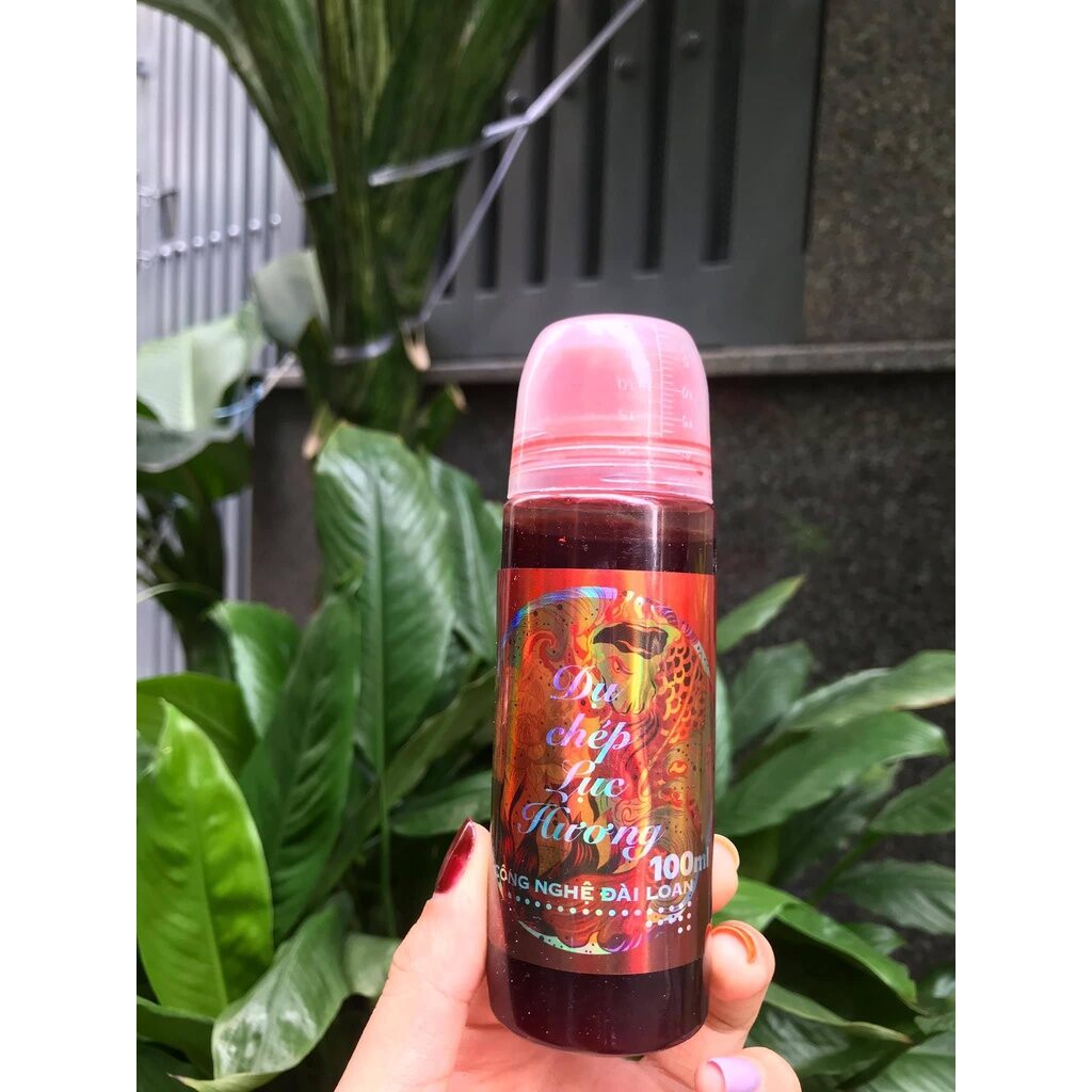 Bộ tinh mùi câu cá chép cũ và cá chép moi sa phạm