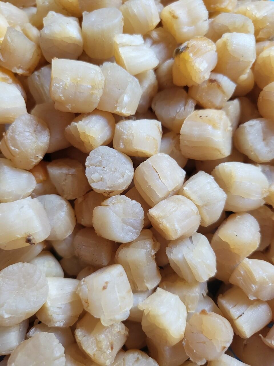 Sò điệp Nhật khô size mini 200gr