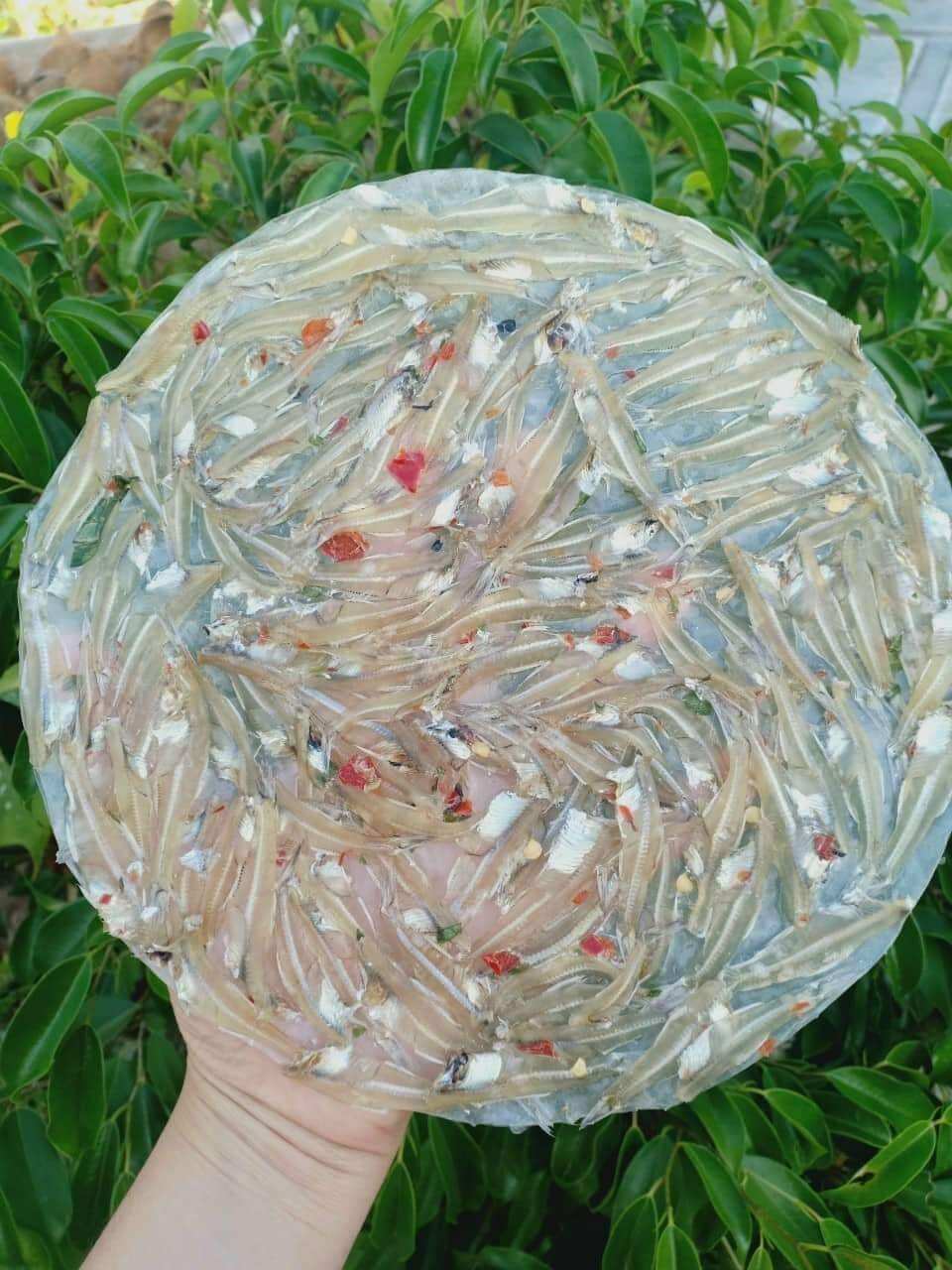 Bánh tráng cá cơm 1kg/180k