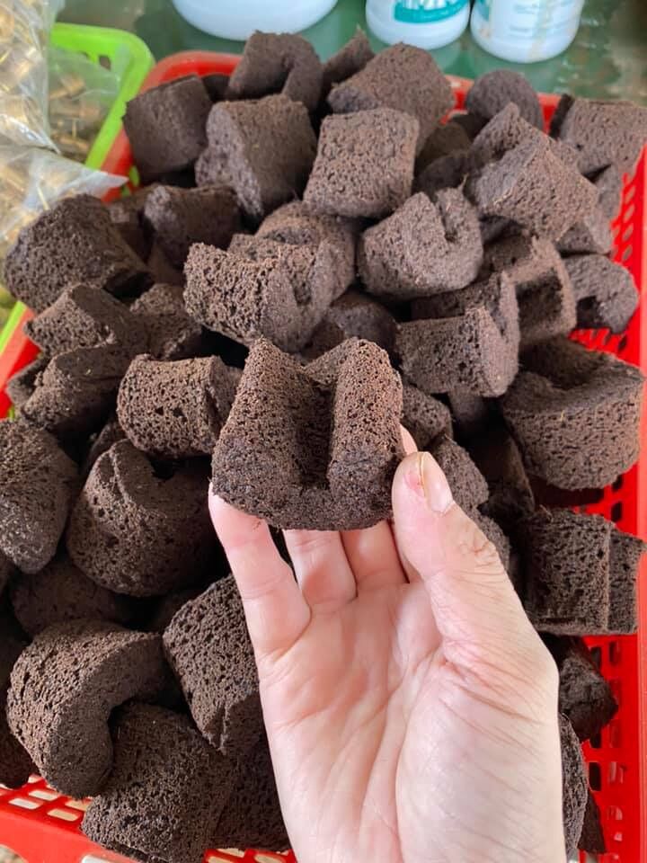 Viên mút ươm kie trồng lan