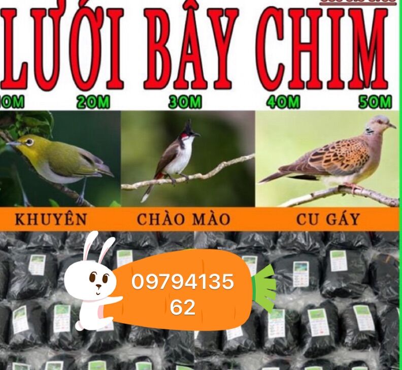 Lưới bẫy chim tàng hình Thái Lan