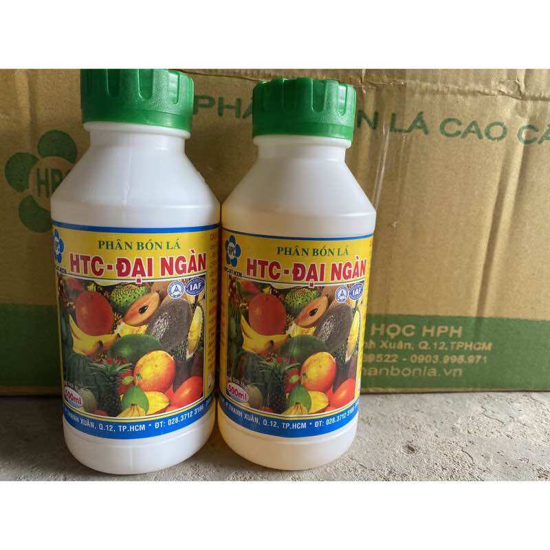 Nhúng trái chín cho cây - hpc 97 đại ngàn