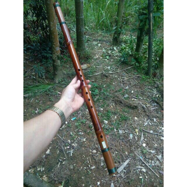 Tiêu Bát Khổng Trúc Hun D4