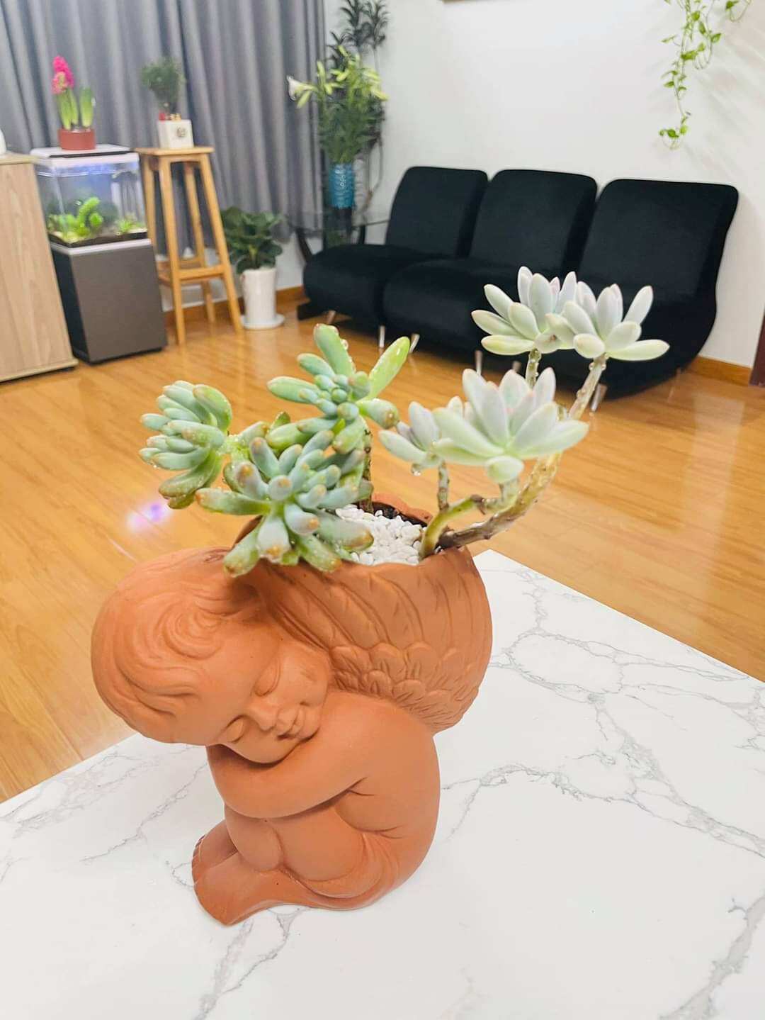 Chậu đất nung Bình Dương dáng thiên thần