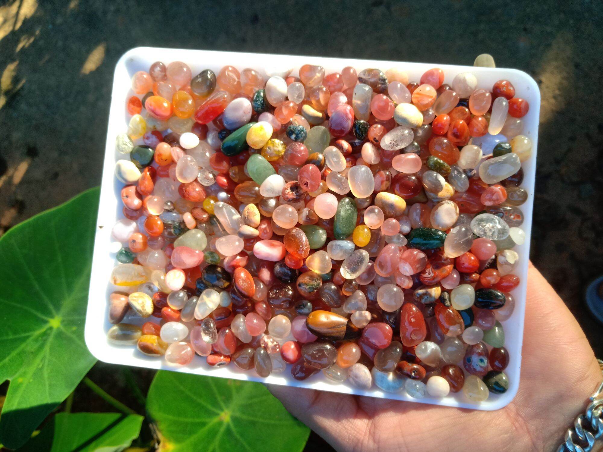 sỏi ngũ sắc hàng chưng bày sưu tầm đồ phong thủy 125k/khay 500g