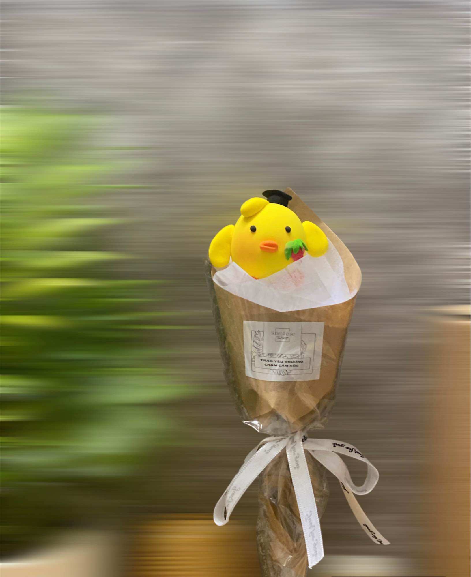 Bó Hoa Đất Sét Mix nhiều mẫu Cute Từ Subeo House