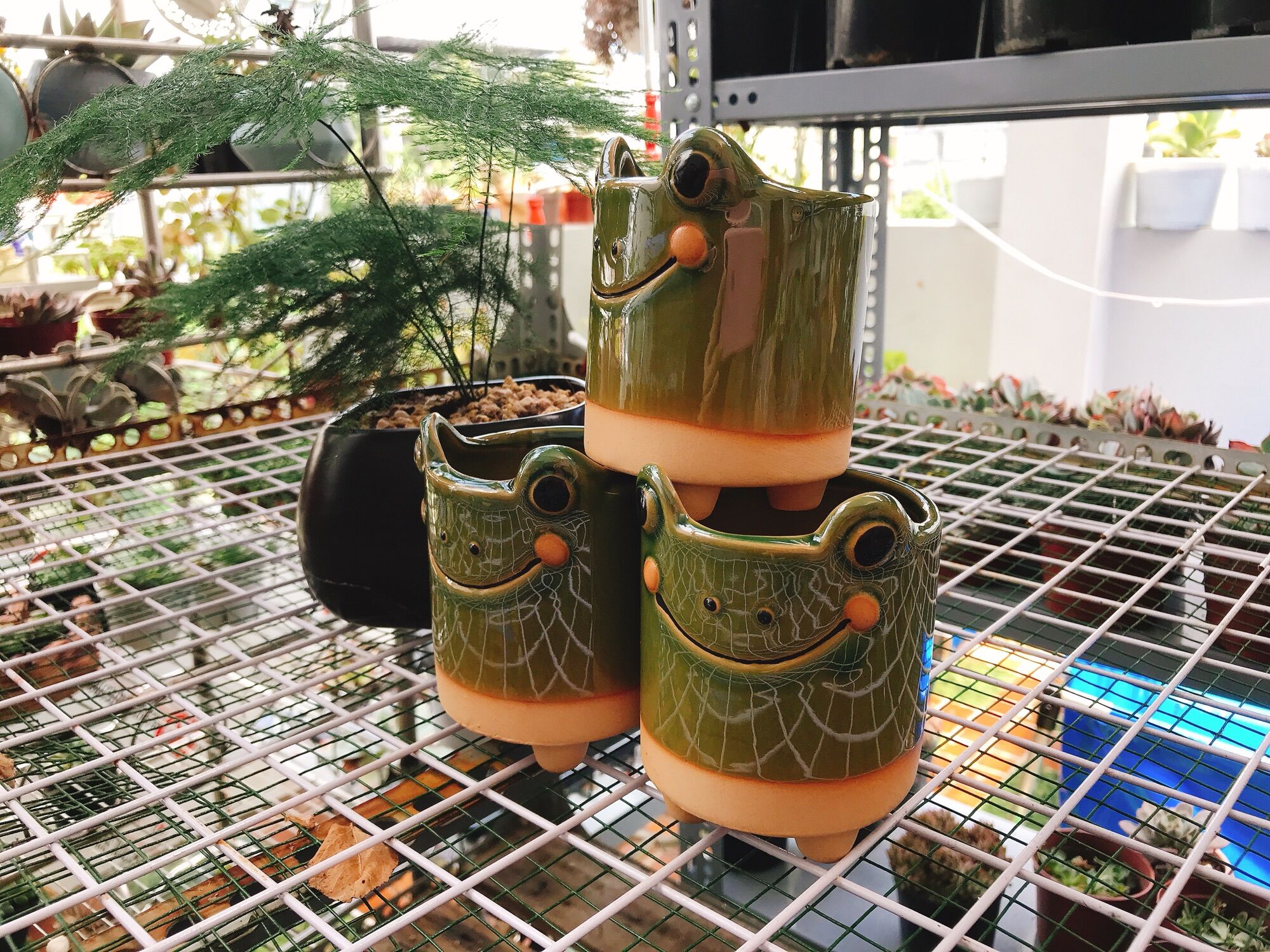 [HCM]Chậu hình thú siêu kute (thích hợp trồng sen đá sương rồng)
