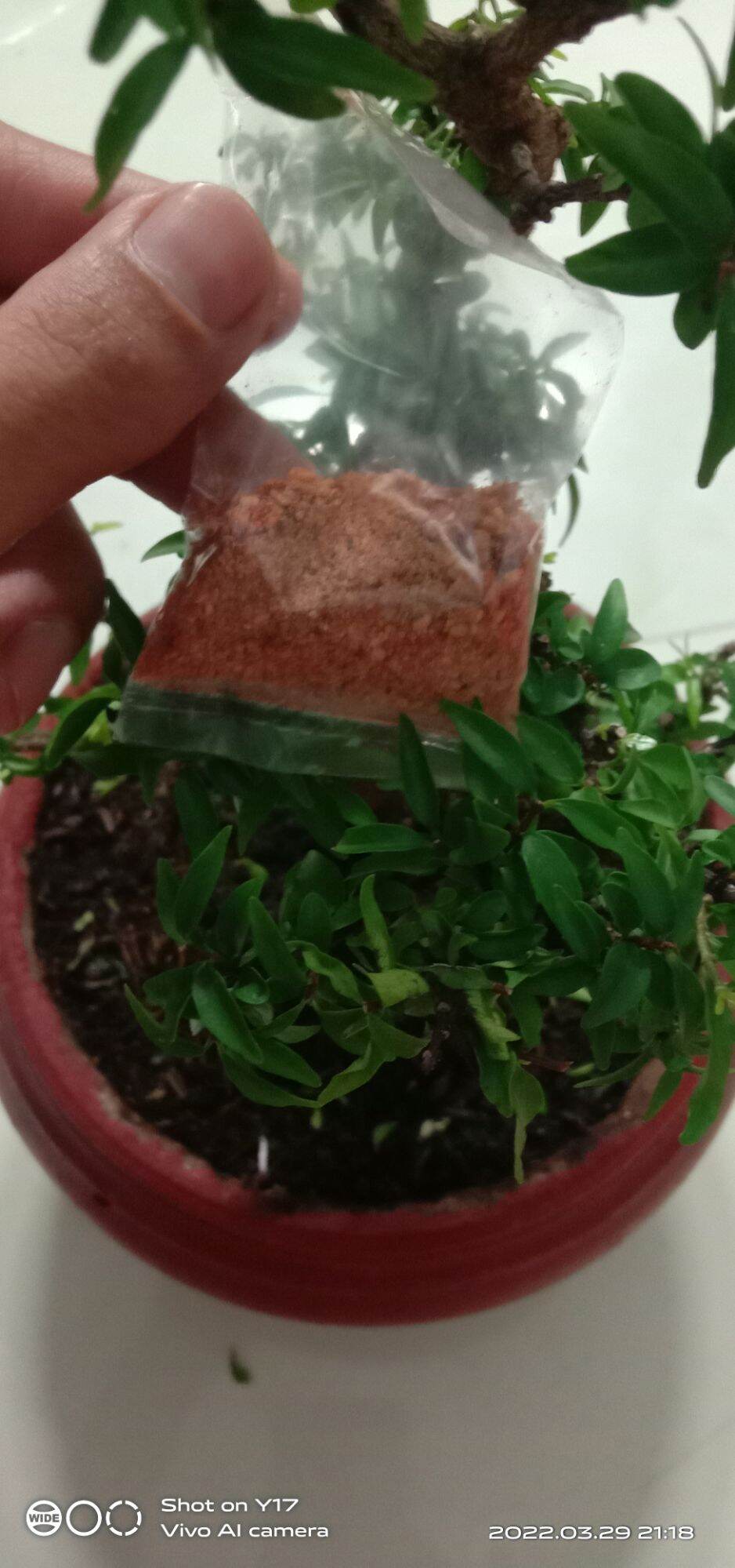1 bịch MUỐI MINI để trộn bánh tráng