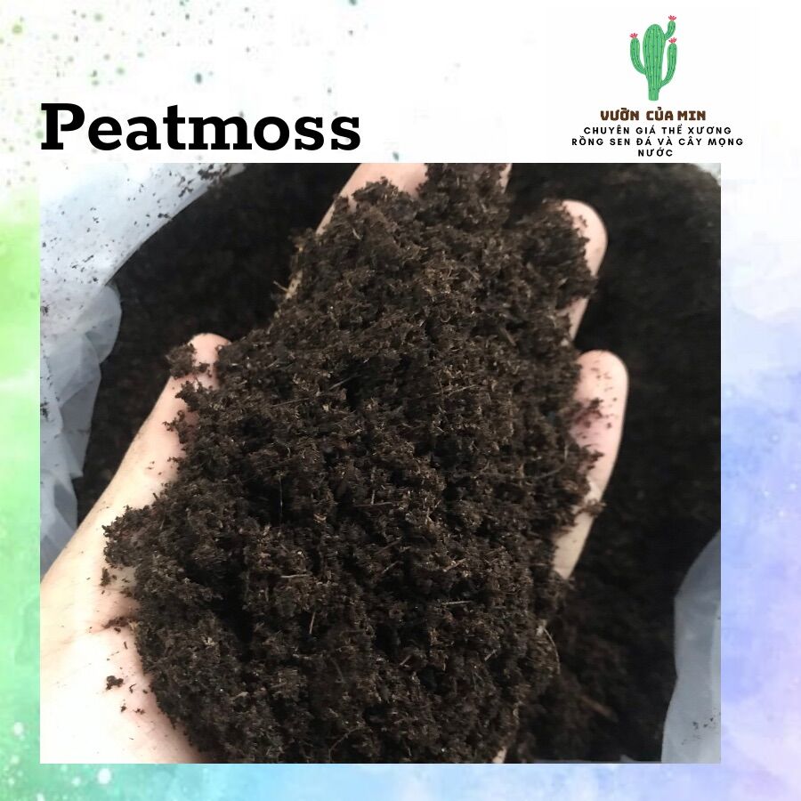 Peatmoss/Peatman hàng chuẩn 500g