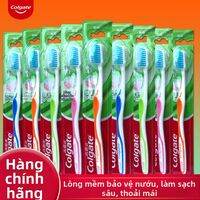 Colgate | Bàn Chải Răng Siêu Mềm Bảo Vệ Nướu 12 cái