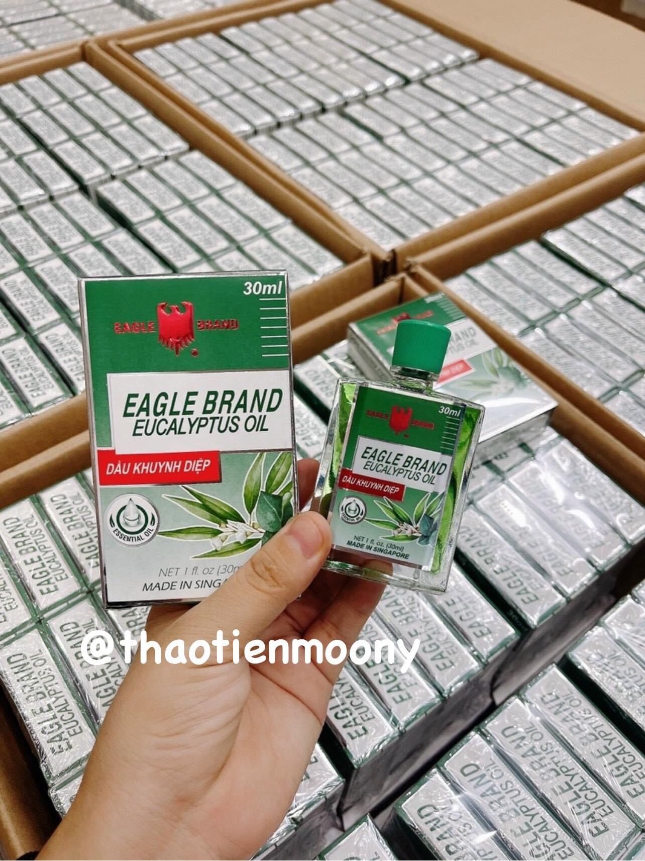 [SHIP NHANH GRAB HCM]Dầu Khuynh Diệp Con Ó Singapore