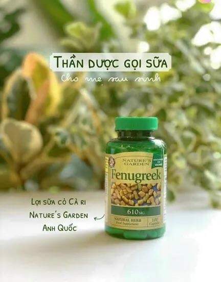 Cò cà ri lợi sữa Fenugreek 610mg Natures Aid
