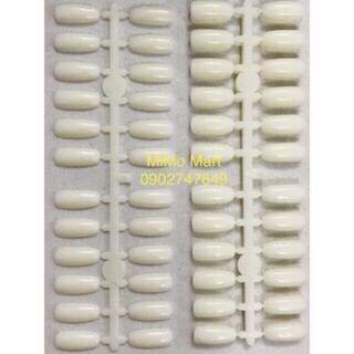 Móng Mẫu Gắn Sổ/Tập Vẽ 120/240 móng.