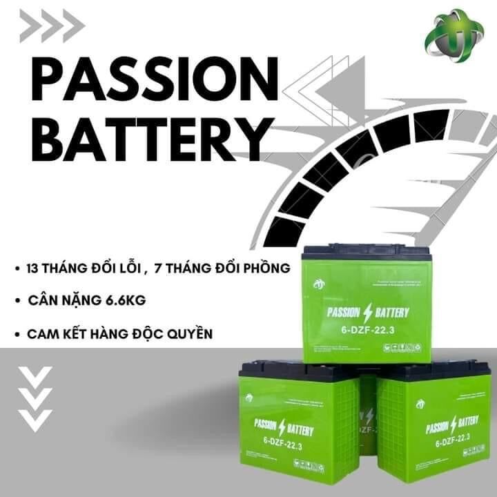 Bình ác quy khô to xe điện 12v -22.3ah-30ah