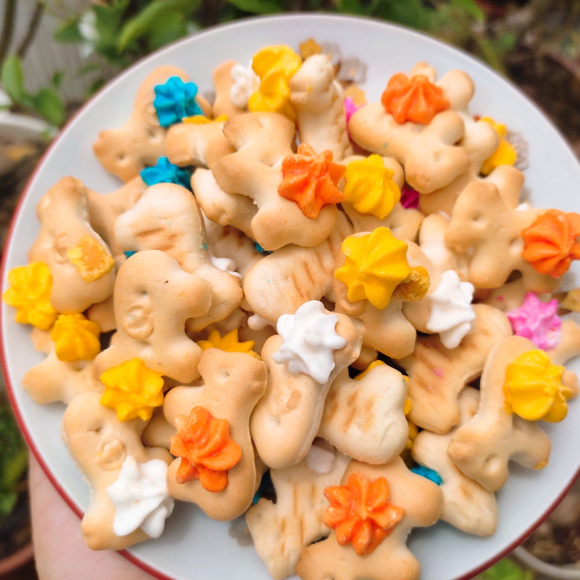 Bánh ngựa bông tuổi thơ 500g