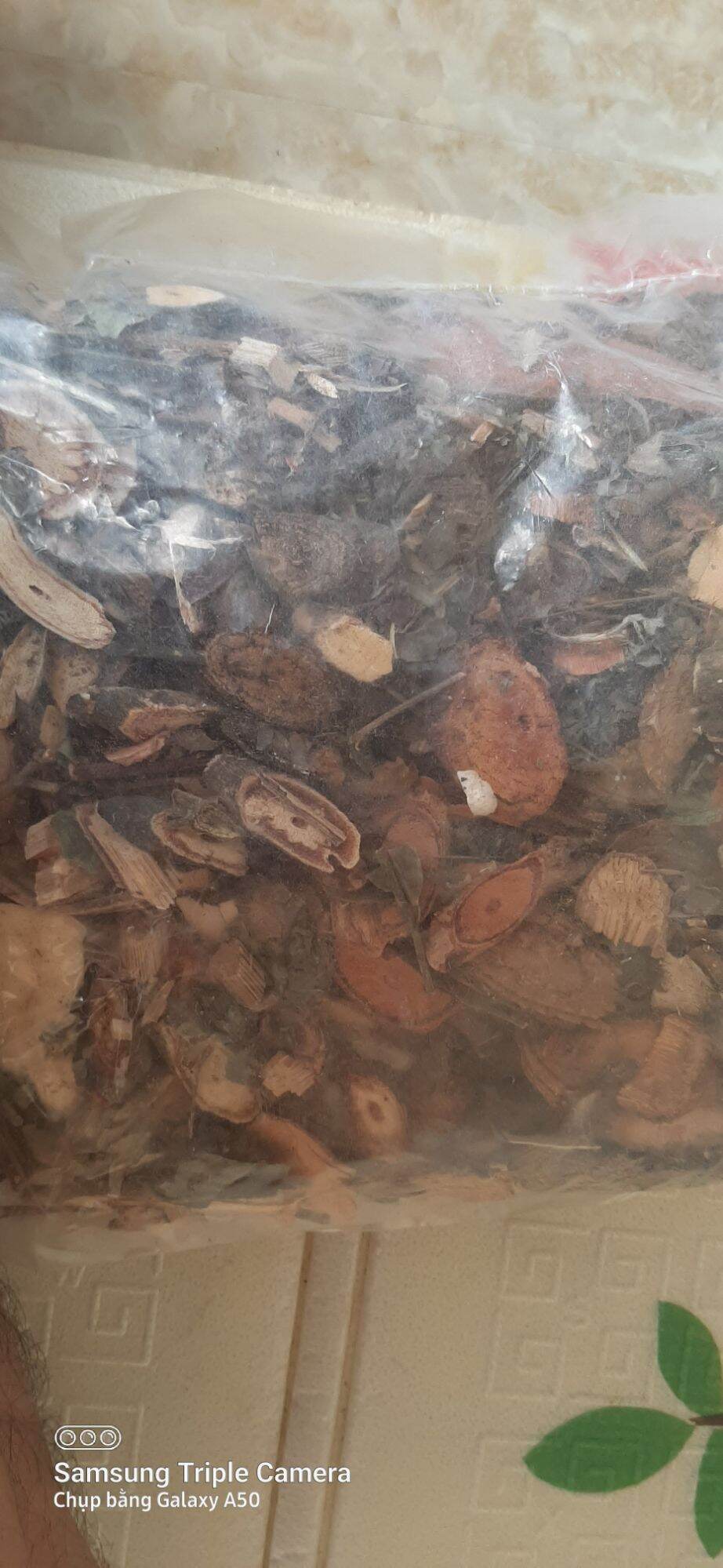Gói thái hóa xương khớp