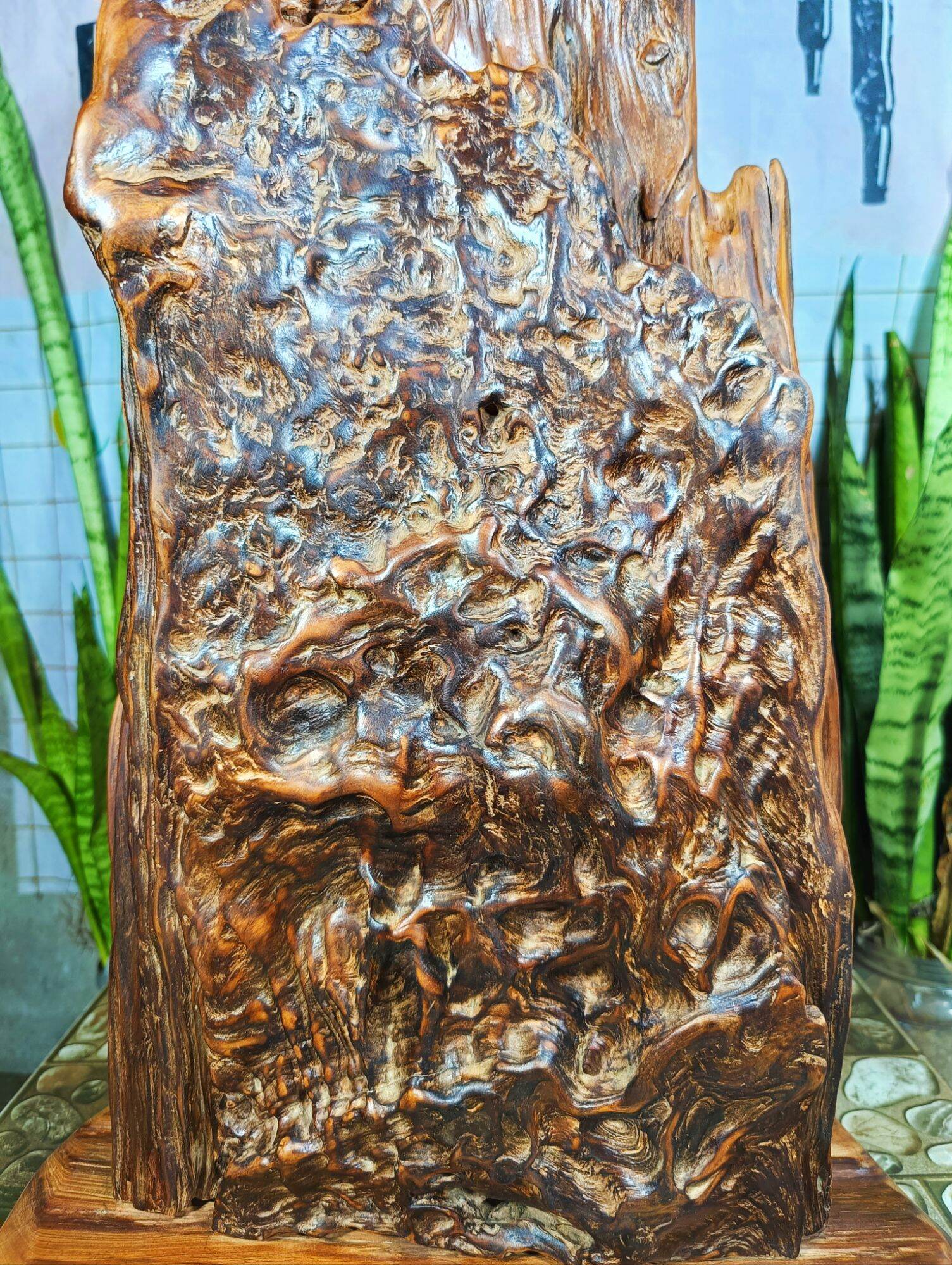 lũa gỗ thơm ngọc am đỏ hà giang